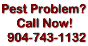 Pest Problem?      Call Now!   904-743-1132